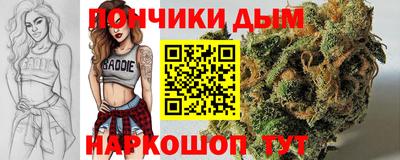 мдпв Тула