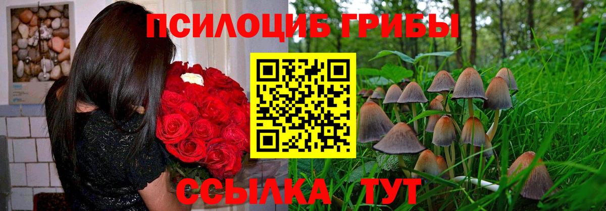 Галлюциногенные грибы ЛСД Белогорск